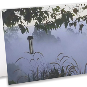 Lavender Mist