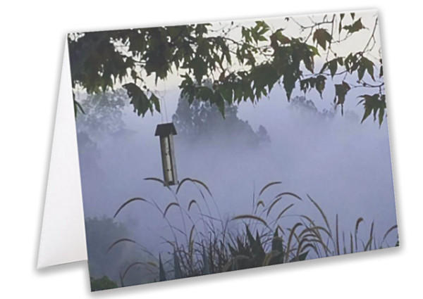 Lavender Mist